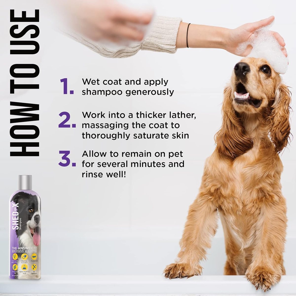 How to bathe a shedding dog (and a very patient cat)